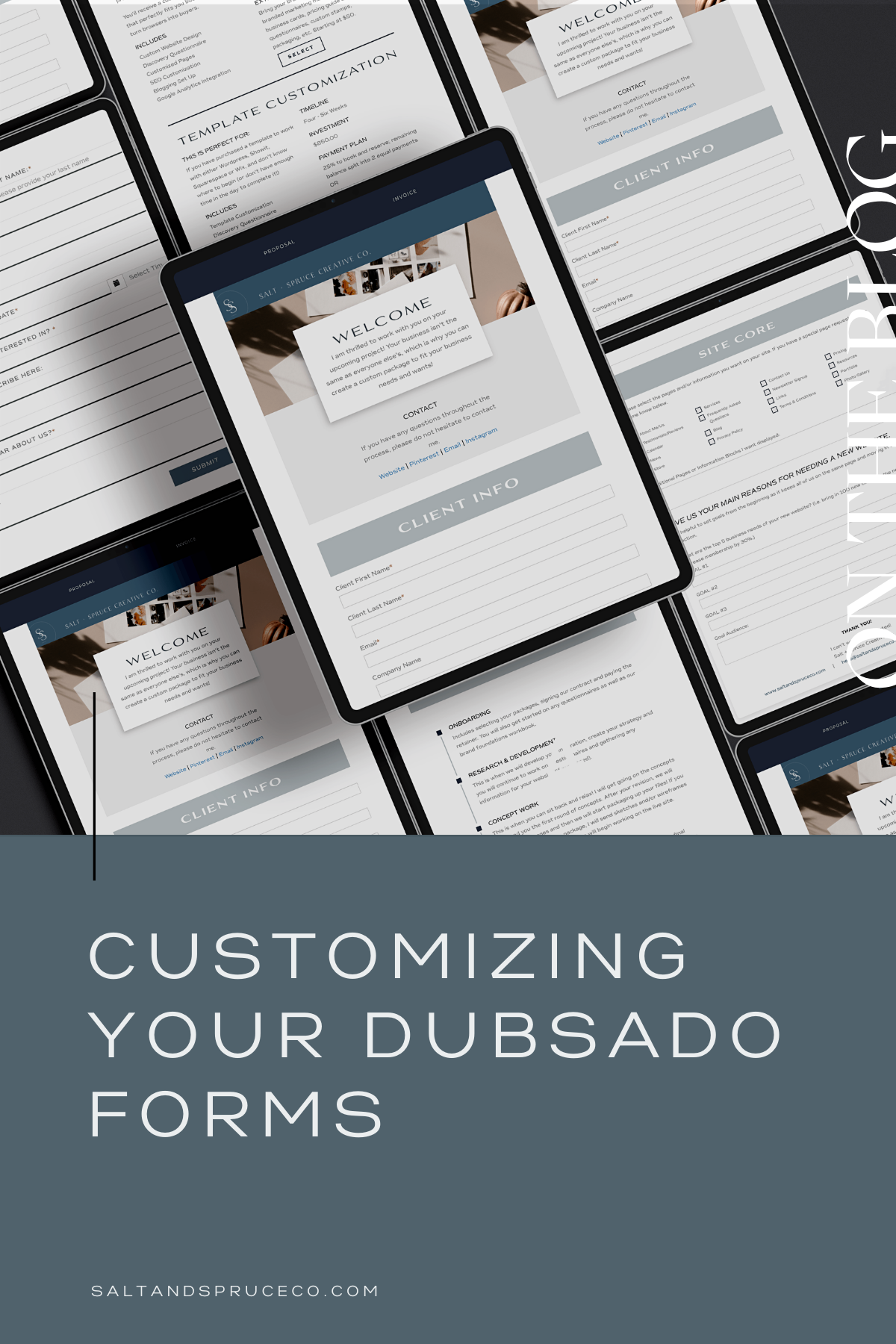 How To Add Customizations To Your Dubsado Forms - Salt + Spruce ...