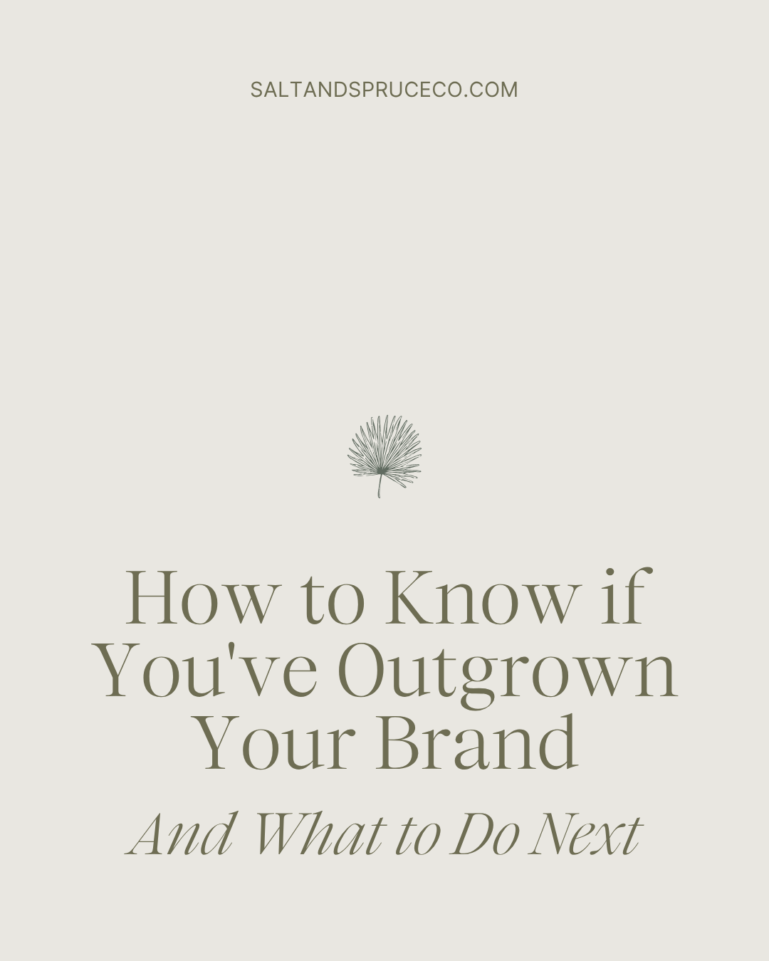 Minimalist graphic featuring "How to Know if You’ve Outgrown Your Brand: Signs You Need a Brand Refresh and What to Do Next" with saltandspruceco.com above a small palm leaf illustration.