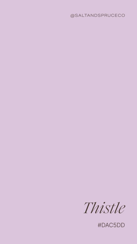 A solid pastel lavender background with the text @SALTANDSPRUCECO at the top right and Thistle #DAC5DD in elegant font at the bottom right.