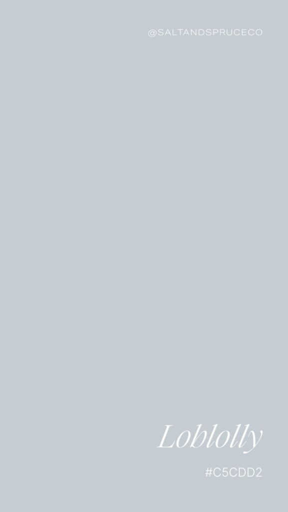 A solid light gray color background with the text @SALTANDSPRUCECO at the top right and Loblolly #C5CDD2 in white at the bottom right.