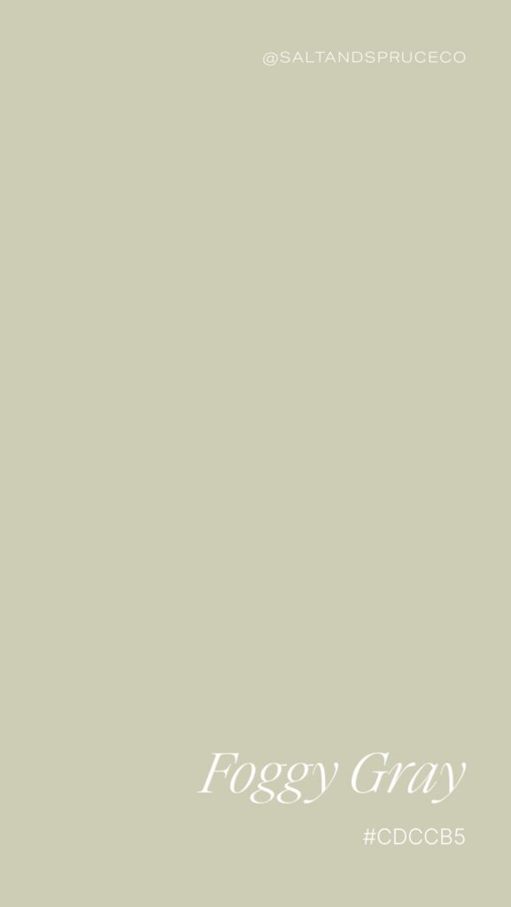 A solid foggy gray background with text that reads @SALTANDSPRUCECO at the top right and Foggy Gray #CDCCB5 in white at the bottom right.