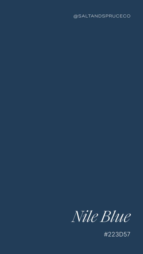 A solid Nile blue background with the Instagram handle @SALTANDSPRUCECO at the top right and the words Nile Blue #223D57 in elegant white text at the bottom right.